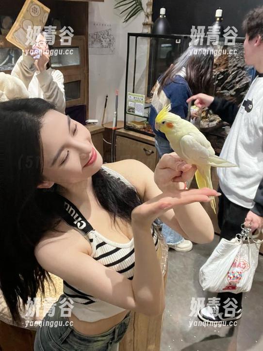 “51吃瓜fun”App，这里有我最不可思议的日常讨论大全！
