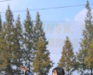 51吃瓜官网导航：在这里，不光是瓜，还有隐藏的八卦味道！