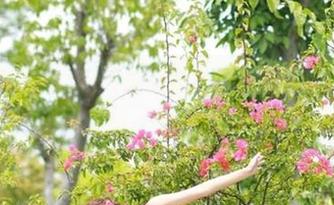 想要插队？66吃瓜网的免费瓜可不等人哦