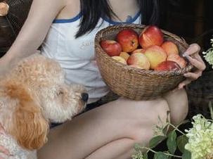 登录黑料网之后，我反而觉得自己学会了一点“隔岸观火”的艺术。